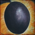Augenblick einer Schwebfliege; Acryl auf Leinwand;
30 x 30 cm